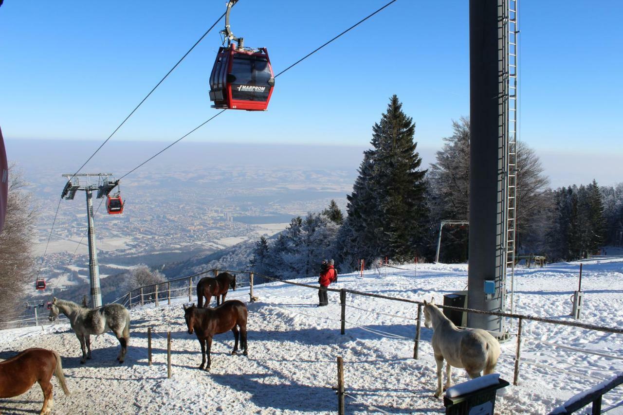 Luxury Apartments Bolf Hočko Pohorje Екстериор снимка